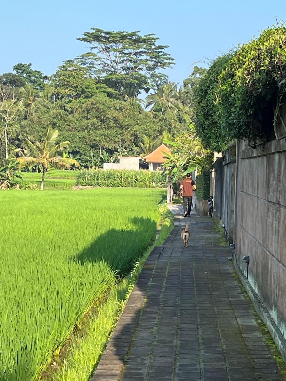 Uma Padi Villa อูบุด ภายนอก รูปภาพ