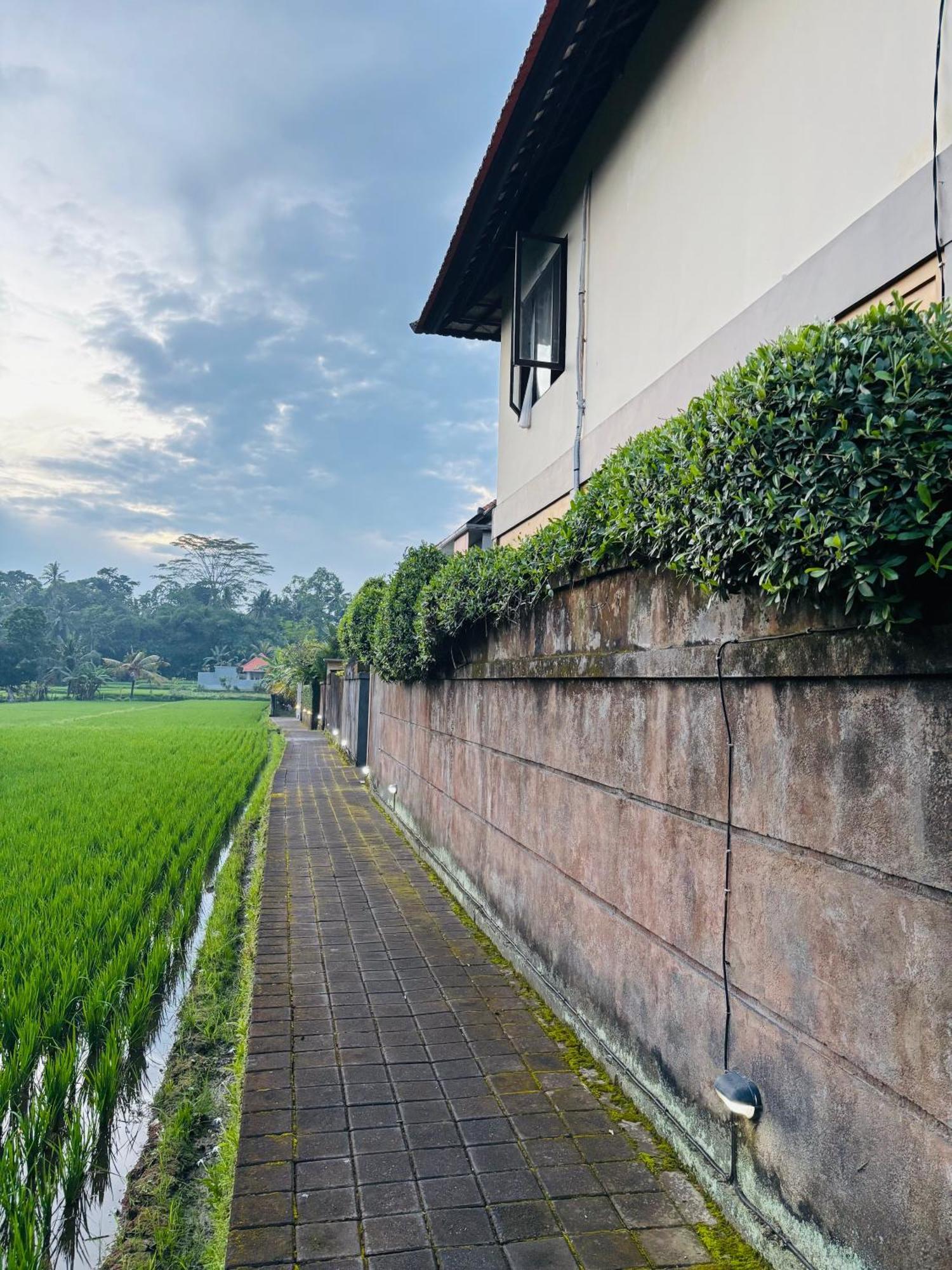 Uma Padi Villa อูบุด ภายนอก รูปภาพ