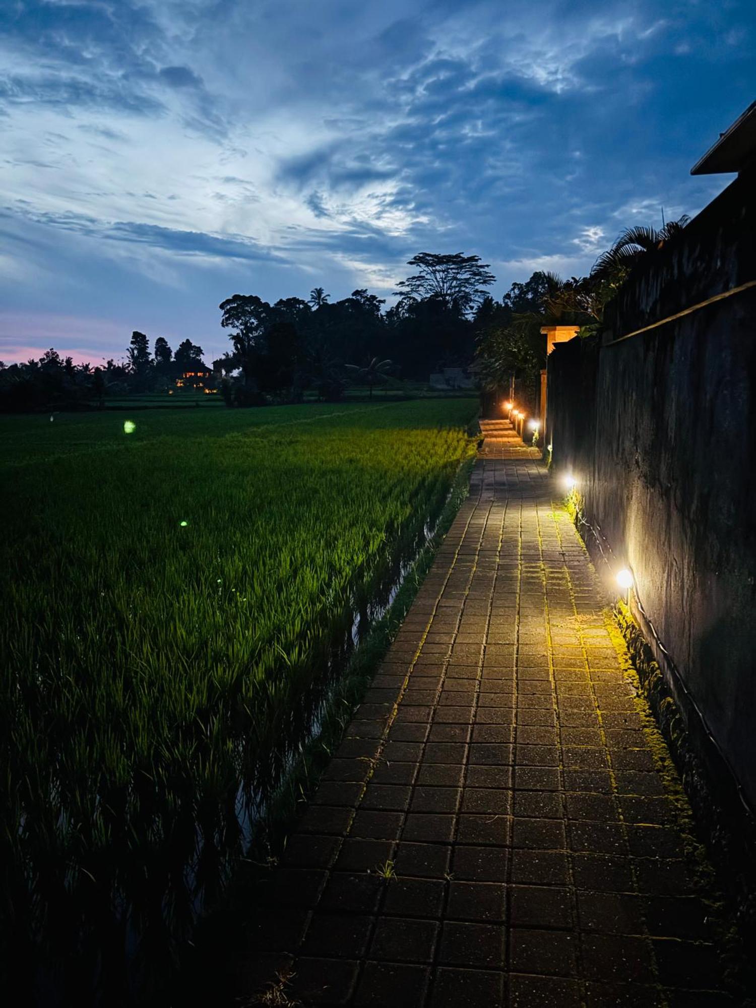 Uma Padi Villa อูบุด ภายนอก รูปภาพ