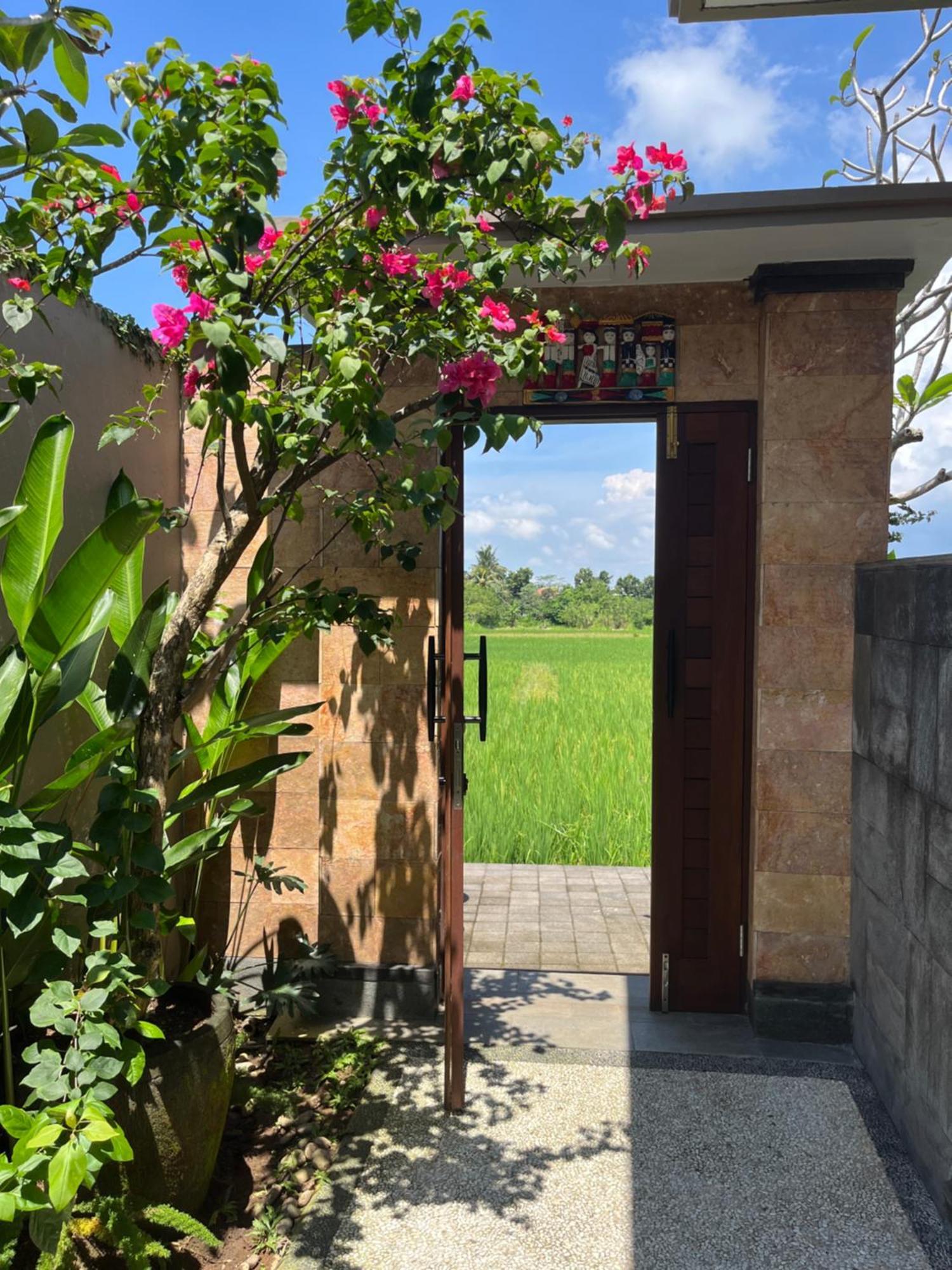 Uma Padi Villa อูบุด ภายนอก รูปภาพ